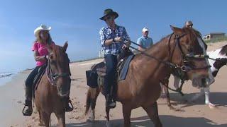 Equestrian Adventures of Florida in Palm Coast  David Martin Live