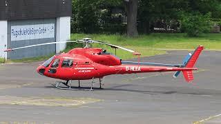 AS355 D-HLEA static