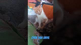 oyen dan unyil