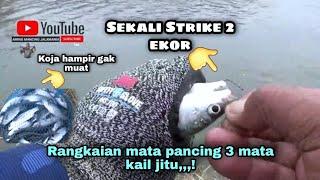 Paling Enak Mancing Ikan Belanak Rangkaian Nya Seperti Ini Mas Bro..