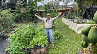 2 AMAZING Organic Gardening Methods For HUGE Healthy Harvest