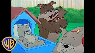 Tom et Jerry en Français   Le meilleur papa chien   Fête des pères  WB Kids Français​