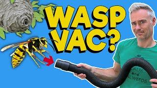 Fast and Easy WASP Nest Removal Method