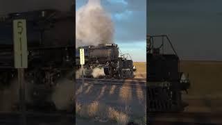 Big Boy 4014 Return to the Mainline #usarailway #railway #railroadlife #railroad #steamtrain #train
