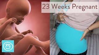 23 Weeks Pregnant What You Need To Know - Channel Mum