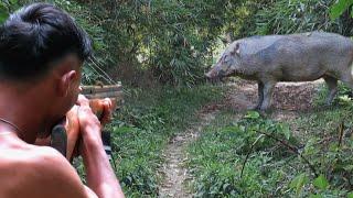 WILD BOAR HUNTING PART. 14 POIN INDUKAN BABI HUTAN BESAR DI MUSIM HUJAN