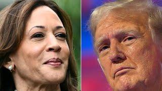 Présidentielle américaine  que disent les sondages du match Kamala Harris - Donald Trump