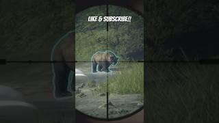 Surprise Diamond Grizzly Bear On Yukon Valley  TheHunter Call Of The Wild