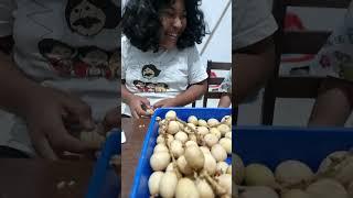 Makan Buah Langsa bersama Karibo