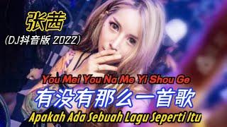 张茜 - 有没有那么一首歌 DJ抖音版 2022 You Mei You Na Me Yi Shou Ge【Apakah Ada Sebuah Lagu Seperti Itu】