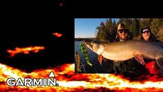 LiveScope Musky Jigging Garmin Panoptix