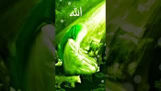 Heart Touching Nasheed