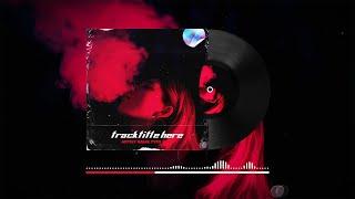 Vinyl • FL Studio audio visualizer template  Beat visuals template  zGameEditor Visualizer