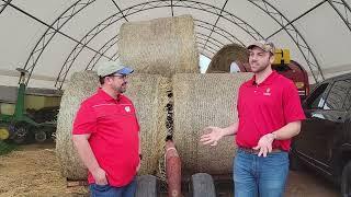 Bumper Crops Outwintering Winter Grazing Planning