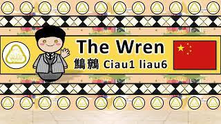 The Sound of the Contemporary Urban Shanghainese language UDHR Numbers Greetings The Wren