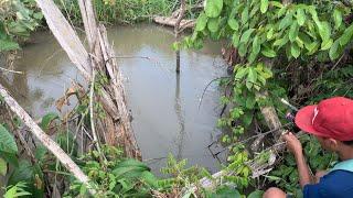 Mancing random. Segala jenis ikan di sungai kena semua umpan adalan ikan liar