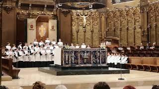 Boys Choir Montserrat Monastery