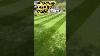 Keep it cut even if its wet to keep control of the lawn