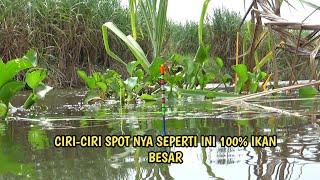 ini rahasia umpan terbaik mancing nila babon cobalah ikan besar mendekat