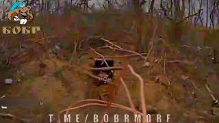 БОБРы работают FPV доставка укропам.