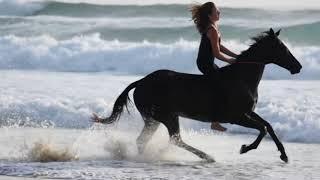 Horse riding on beach