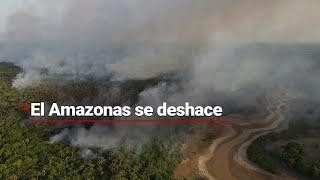 El Amazonas se está EXTINGUIENDO  La deforestación AMENAZA al pulmón más grande de la Tierra