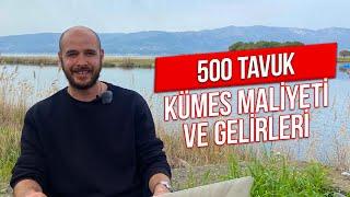 500 Tavuk Gelir ve Maliyetleri