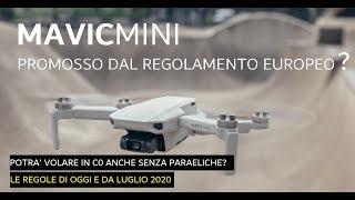 DJI MAVIC MINI DRONE PROMOSSO DAL REGOLAMENTO EUROPEO? REGOLE DI OGGI e di DOMANI