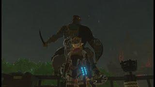 Ganondorf at lookout landing??