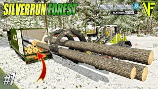 Is Loading The Container Worth It?  Silverrun Forest  Farming Simulator 22 Platinum Edition