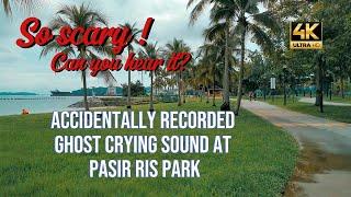 SOMETHING WEIRD AT PASIR RIS PARK  4K UHD  SINGAPORE