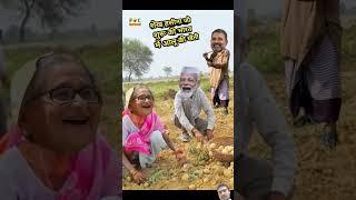 शेख हसीना जी ने मोदी जी के साथ मिलकर भारत में शुरू की आलू की खेती   Comedy #shorts