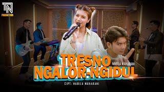 TRESNO NGALOR NGIDUL  NABILA MAHARANI LIVE KOPLO VERSION