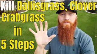 Kill Crabgrass Dallisgrass Clover in 5 Easy Steps. Oxalis morning glory and Crabgrass Killer.