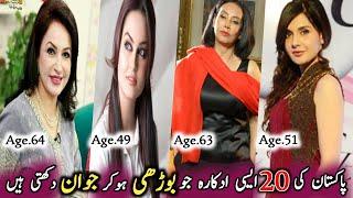 Twenty Pakistani Actresses Who Look Young Even When They Are Old  Zain Entertainment