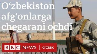 Ўзбекистон нега афғонларга чегарасини қайта очди? BBC News Ozbekiston yangiliklar