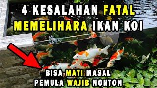 KESALAHAN FATAL DALAM MEMELIHARA IKAN KOI. BISA MATI MASAL BROO. PEMULA WAJIB NONTON INI - koi pond