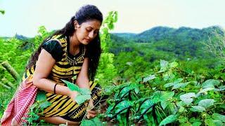 The story of mung bean  vegetarian dishes  මුං කතාව  Poorna - The nature girl 