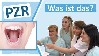 PZR Was ist eine professionelle Zahnreinigung? Zahnarztpraxis N. Redjai Großostheim-Pflaumheim