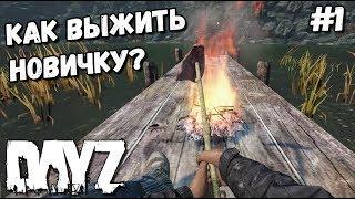 КАК ВЫЖИТЬ НОВИЧКУ В DAYZ В 2020? #1 КАК ДОБЫТЬ ЕДУ И ВОДУ