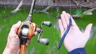 Catch 15x MORE Bass - TRY THIS Bass Fishing Tips