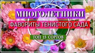 15 ЦВЕТУЩИХ МНОГОЛЕТНИКОВ Для ТЕНИ   ФАВОРИТЫ ТЕНИСТОГО САДА