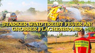 GROSSER FLÄCHENBRAND - WIND TREIBT FLAMMEN AN -  FEUERWEHR  DROHNENSTAFFEL  GROSSEINSATZ