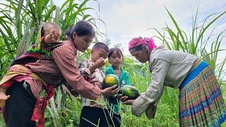 Bumper harvest for Dia and her children - cooking dinner with her family.