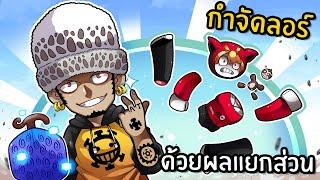 กำจัดลอร์ ด้วยผลแยกส่วน  Blox Fruits Roblox #12