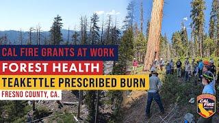 CAL FIRE Forest Health Grants at Work Teakettle Prescribed Fire Project