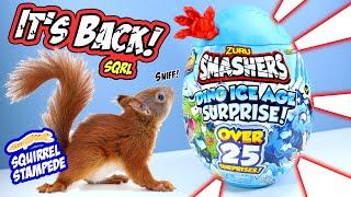 Smashers Series 4 Dino Ice Age Surprise Egg Review Zuru