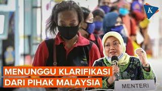 Indonesia Setop Kirim TKI ke Malaysia Pemerintah Minta Penutupan SMO