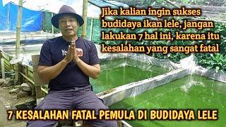 7 KESALAHAN PEMULA SAAT MULAI BUDIDAYA IKAN LELE