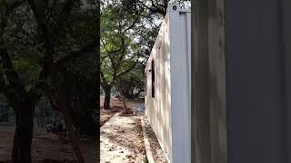 Portable Container Office in Bangalore  #prefabhome #shortsvideo